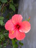 DSCF0085