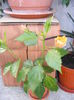 DSCF0197