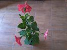 20140920_105001