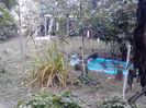 IMG_20140905_171920