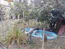 IMG_20140905_171934