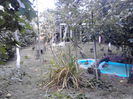 IMG_20140905_172012
