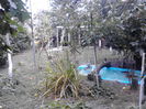 IMG_20140905_172025