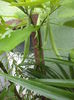 DSC03164