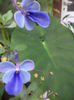 DSC03170
