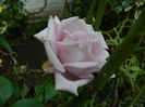 DSCN9443
