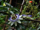 DSCN9451