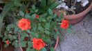WP_20140920_15_27_41_Pro