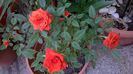 WP_20140920_15_27_50_Pro