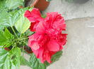 DSCN6957