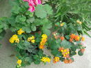 DSCN6977