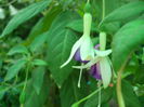 DSCN6989