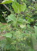 DSCN7002