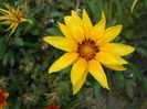 DSCN7016