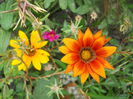 DSCN7017