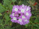 DSCN7018