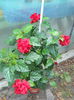 DSCN7024