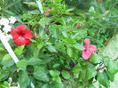 DSCN7025