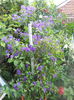 DSCN7038