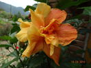 DSC07672