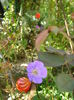 DSC04146