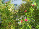 DSC04150
