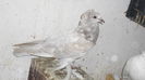 SAM_0724