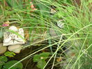 DSC04190