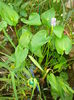 DSC03341