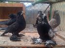 IMG-20140731-00676