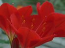 DSC07800