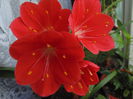 DSC07807