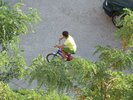 DSCF0222