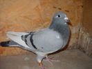 DSCN7199