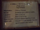 DSCF8357