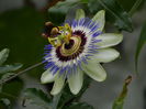 DSCN9579