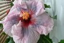 name 124