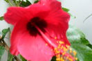 name 159