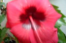 name 177