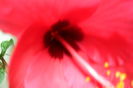 name 158