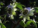 DSCN9596