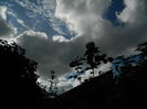 DSCN9599