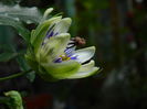DSCN9600