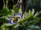 DSCN9602