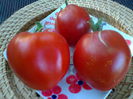 INDIANA RED'S-2423