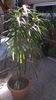 WP_20140924_10_51_29_Pro