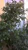 WP_20140924_10_52_55_Pro