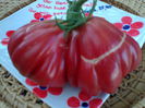 TLACOLULA MEXIC-2438