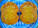 AZOYCHKA GOLD-2572