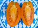 ORANGE ROMA-2599